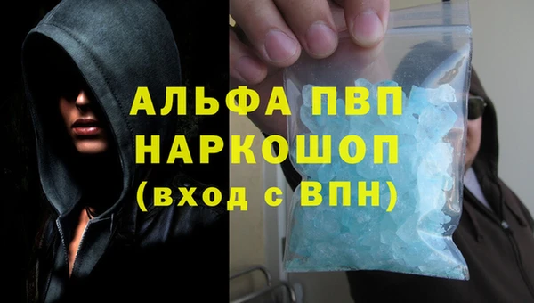 твердый Богданович
