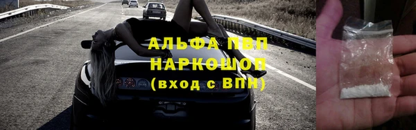 твердый Богданович