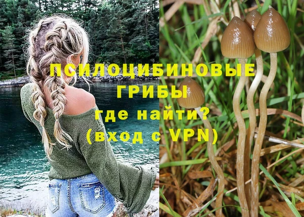 бутират Богородицк