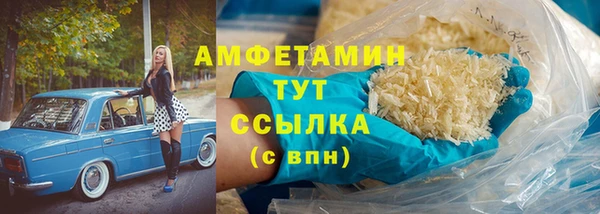 твердый Богданович