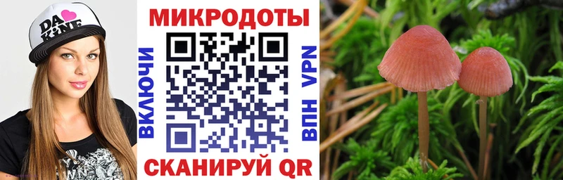 где купить наркоту  Нижнекамск  Галлюциногенные грибы Psilocybe 