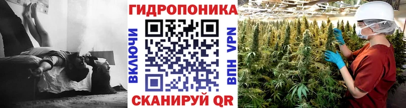 наркотики  shop какой сайт  Канабис AK-47  Нижнекамск 